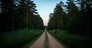 Folk horror vs backwoods horror: kumpi tekee maaseutukauhusta tehokkaampaa?